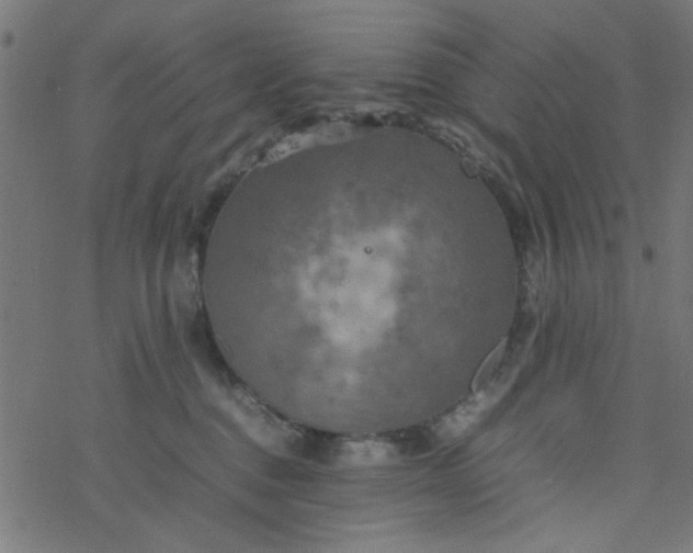 X0000077360376200611031852