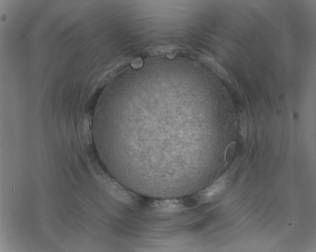 X0000077360378200611031852