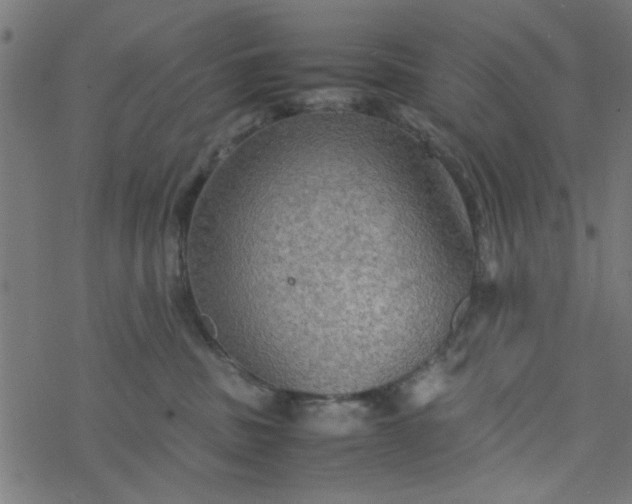 X0000077360379200611031852