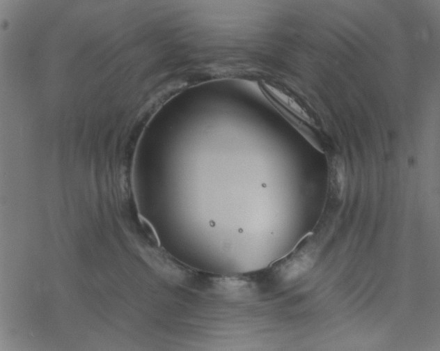 X0000077360380200611031852