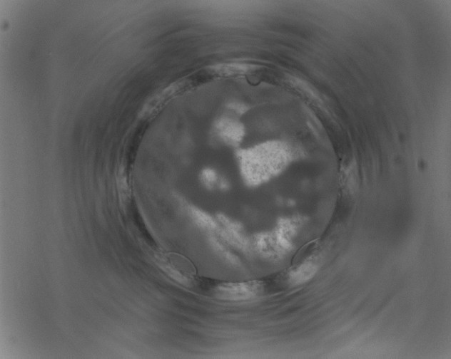 X0000077360381200611031852