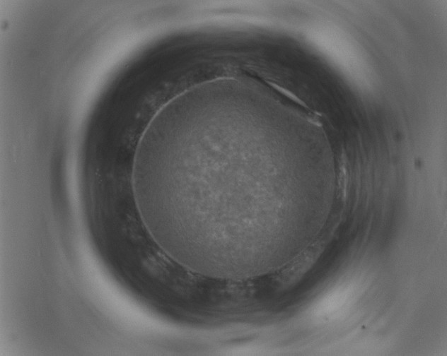 X0000077360383200611031852