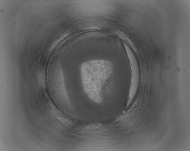 X0000077360386200611031851