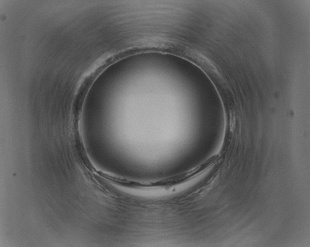 X0000077360388200611031851