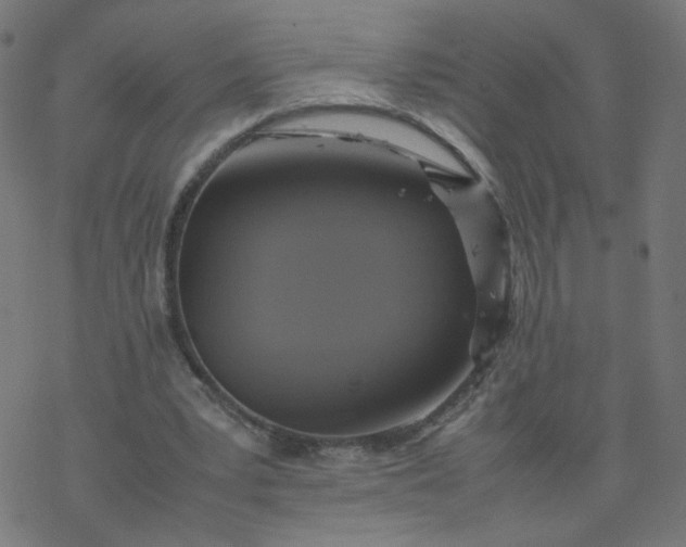 X0000077360391200611031851