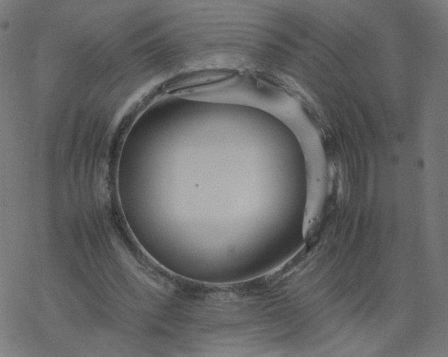 X0000077360392200611031851