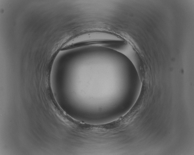 X0000077360393200611031851