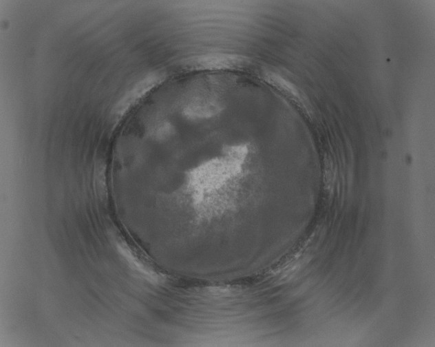 X0000077360394200611031851