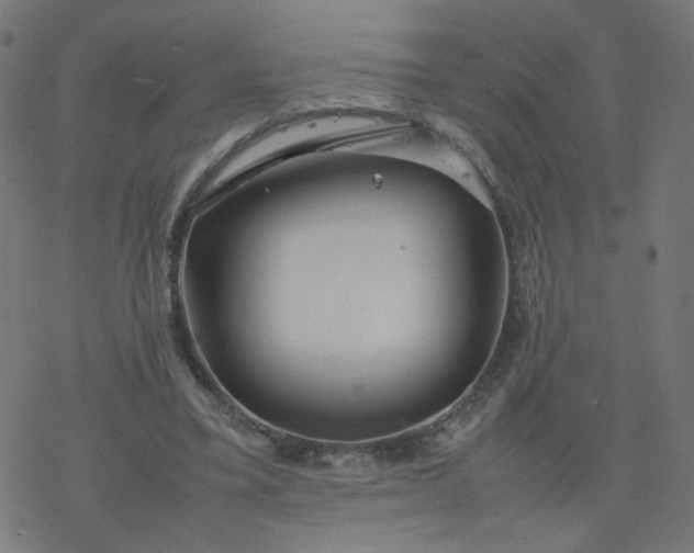 X0000077360395200611031851