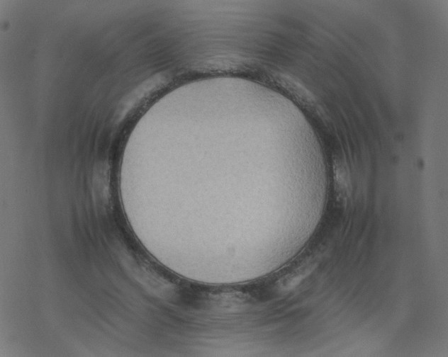 X0000077360396200611031851