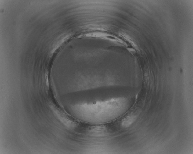 X0000077360398200611031851