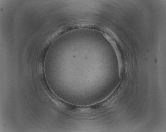 X0000077360401200611031851