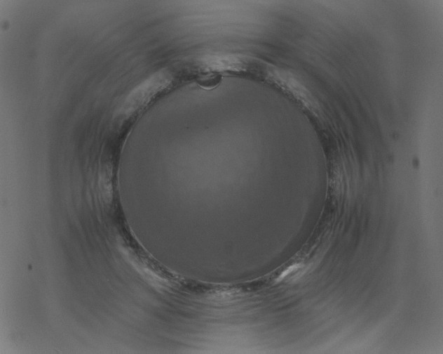 X0000077360402200611031851