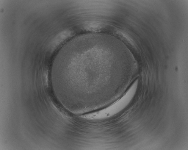 X0000077360404200611031851