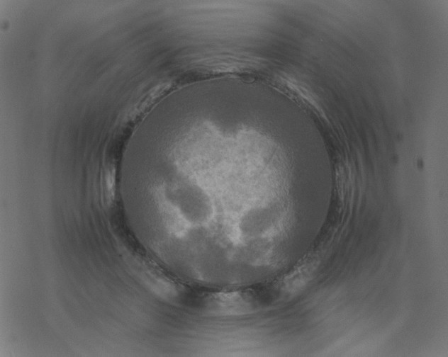 X0000077360406200611031851