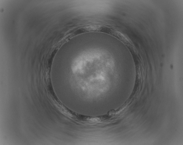 X0000077360409200611031851