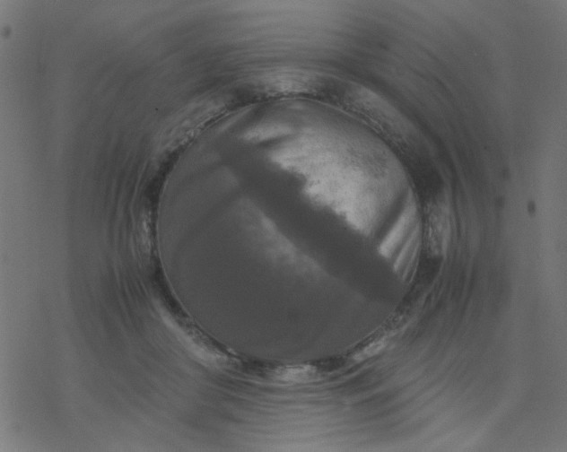 X0000077360410200611031851