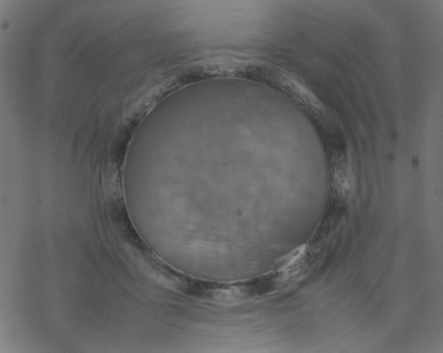 X0000077360411200611031851