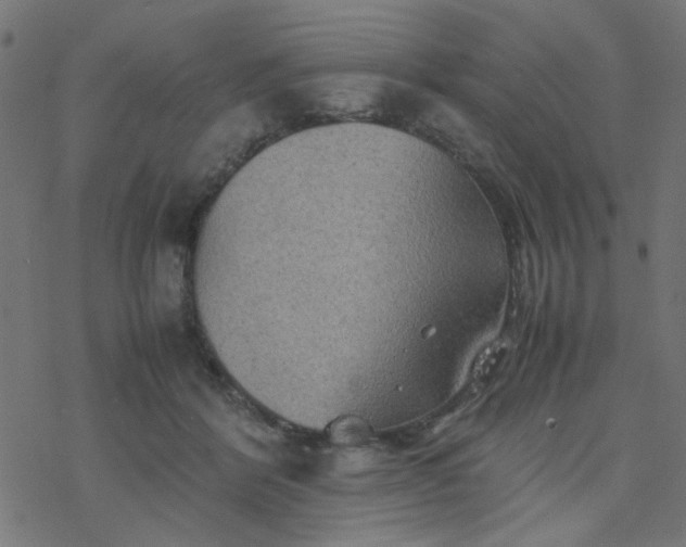 X0000077360412200611031851