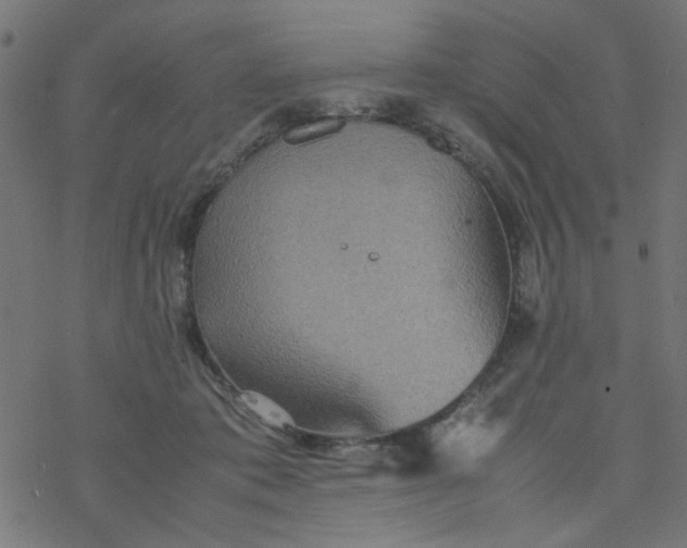 X0000077360413200611031851