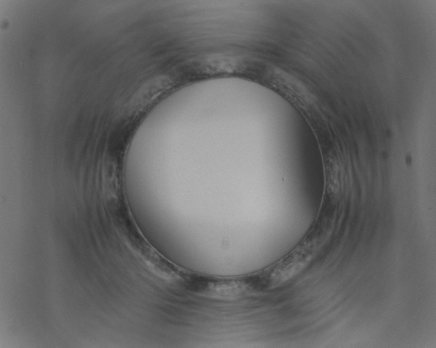 X0000077360414200611031851