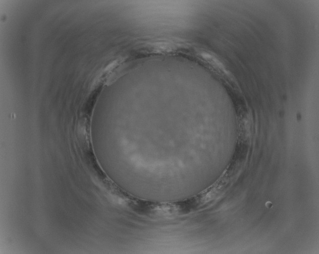 X0000077360415200611031851