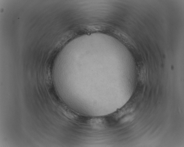 X0000077360418200611031851