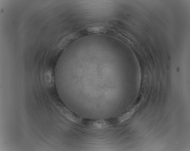 X0000077360420200611031851