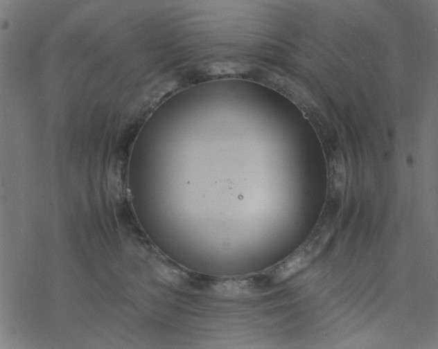 X0000077360422200611031851