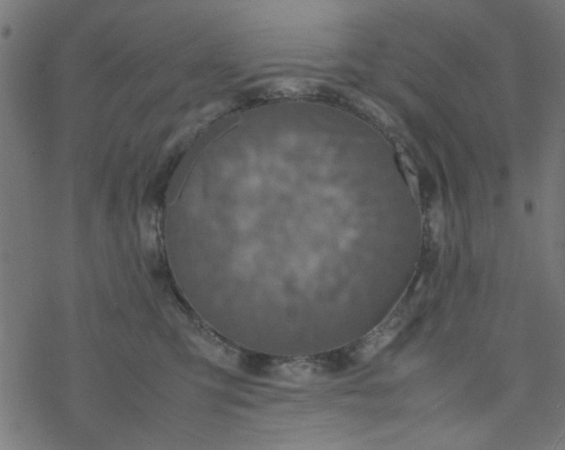 X0000077360423200611031851