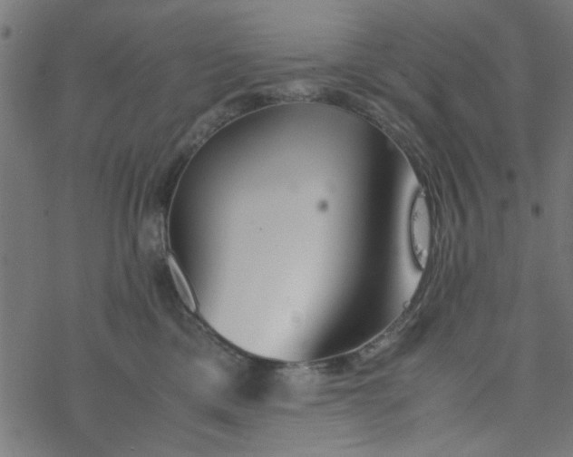 X0000077360425200611031851