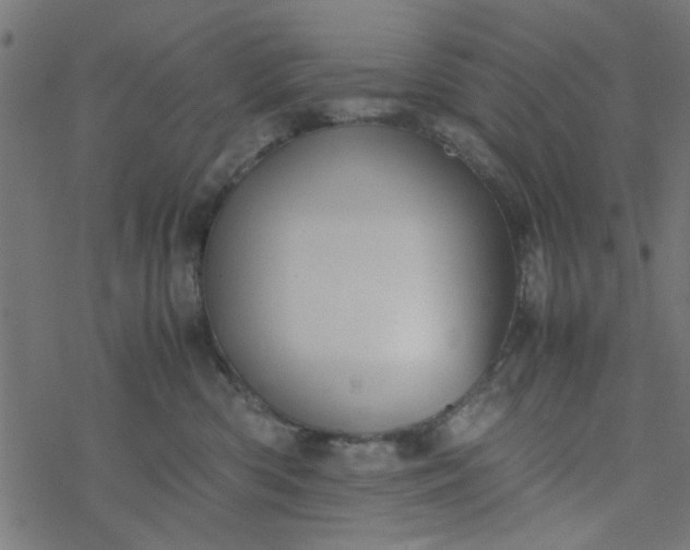 X0000077360426200611031851