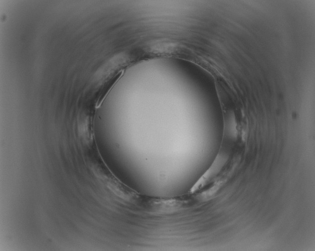 X0000077360428200611031851