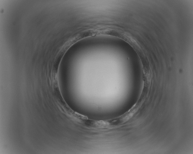 X0000077360429200611031851