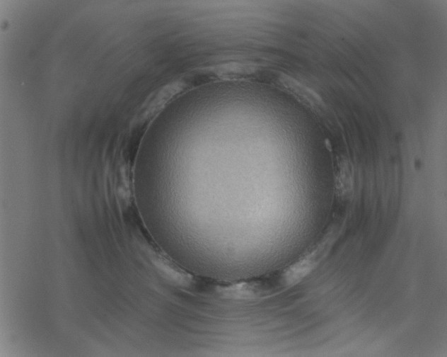 X0000077360430200611031851