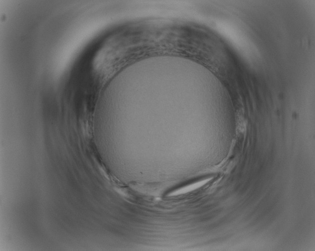 X0000077360431200611031851