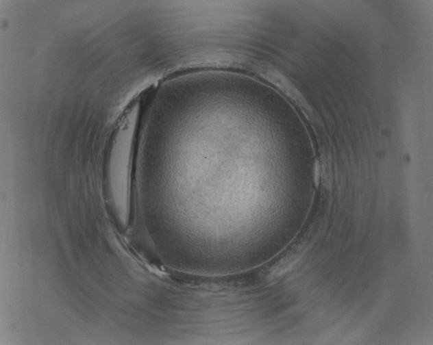 X0000077360434200611031850