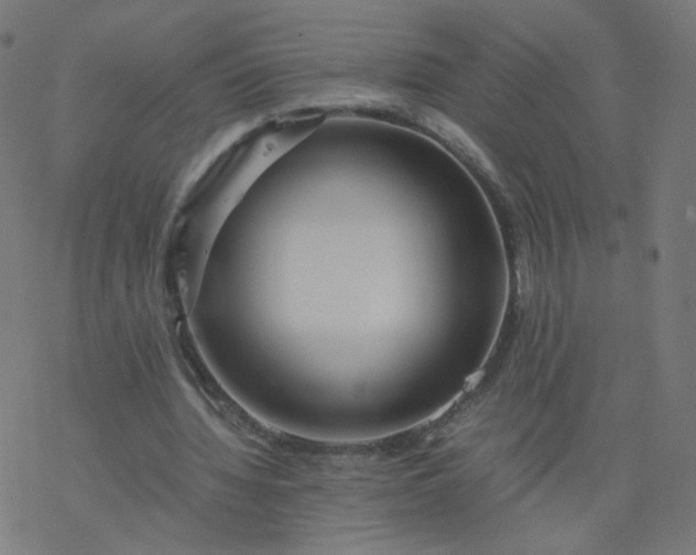 X0000077360436200611031850