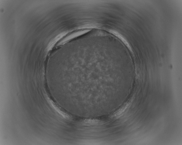 X0000077360437200611031850