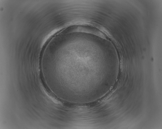 X0000077360438200611031850