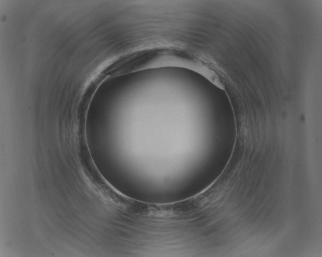 X0000077360440200611031850