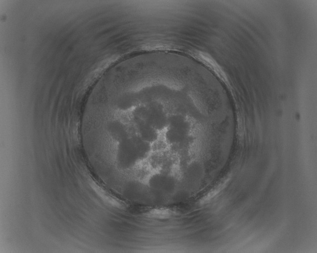 X0000077360441200611031850