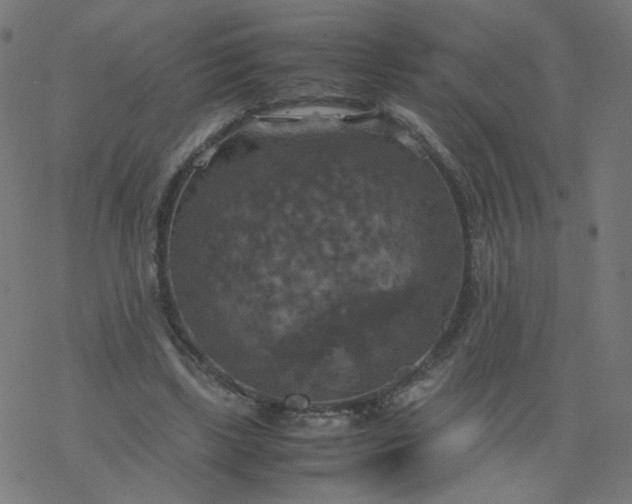 X0000077360443200611031850