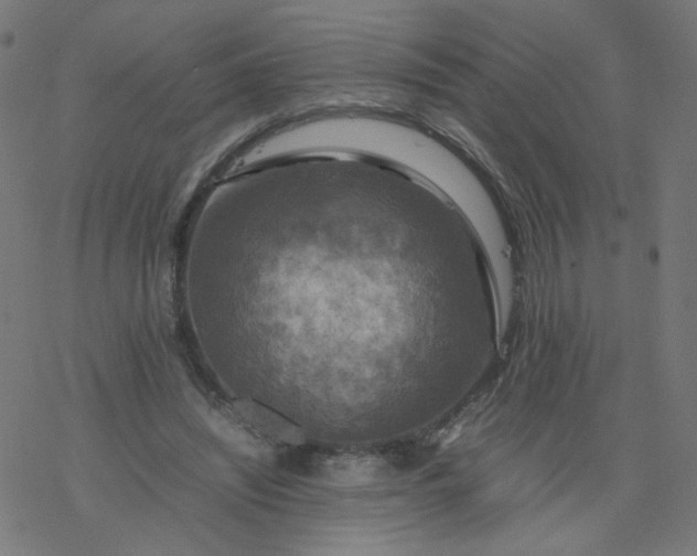 X0000077360444200611031850