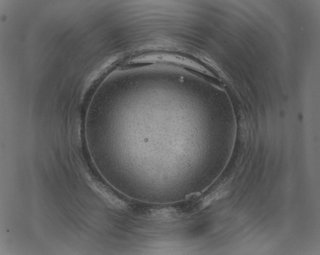 X0000077360446200611031850