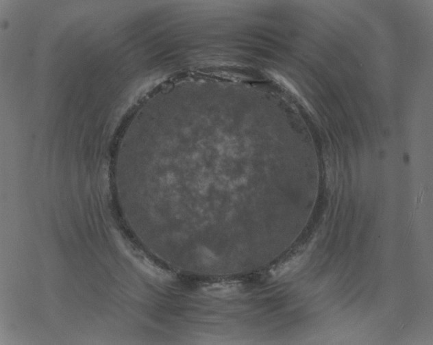 X0000077360447200611031850