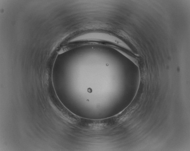 X0000077360448200611031850