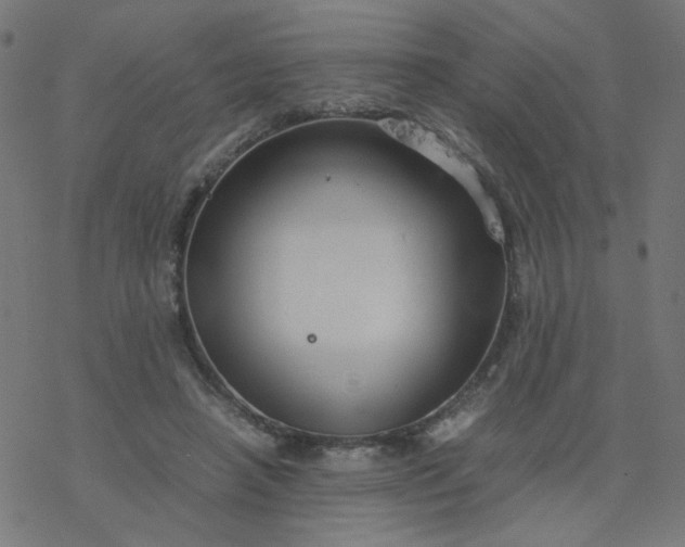 X0000077360450200611031850