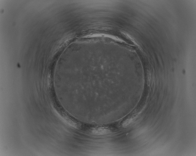 X0000077360451200611031850