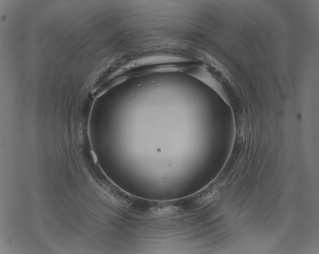 X0000077360452200611031850